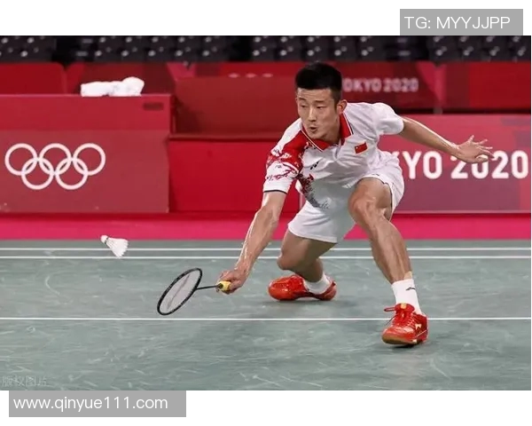 深入分析北京羽毛球队区域防守战术的优势与应用